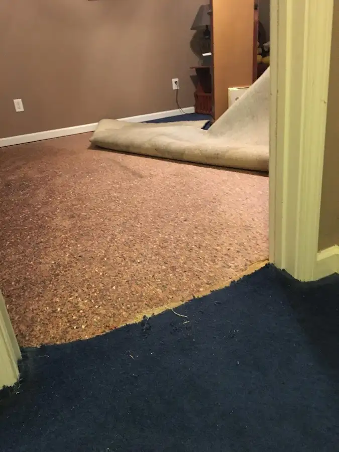 Carpet pad removal revealing water damage during Drying & Dehumidification in Palm Springs North