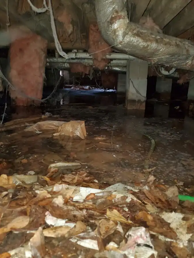 Crawl space flood assessment for Commercial Water Damage Restoration in Palm Springs North